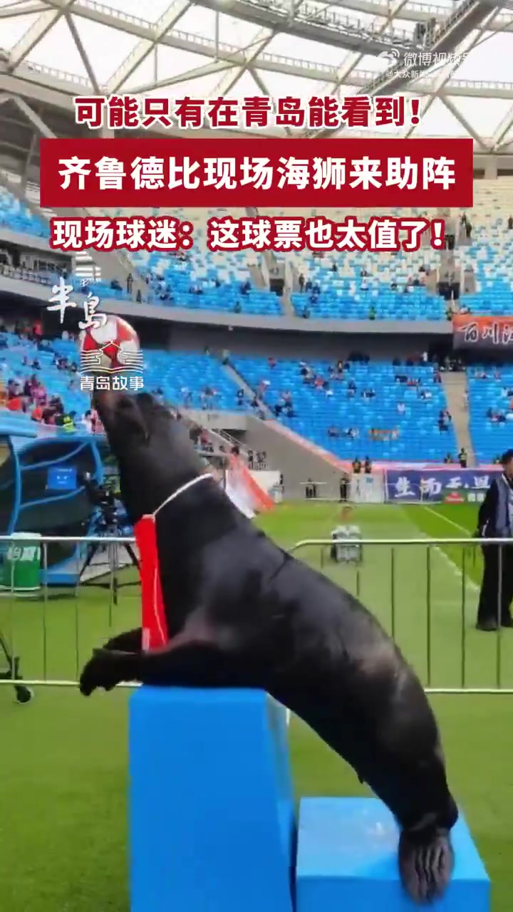 齊魯?shù)卤纫牒*{表演 現(xiàn)場(chǎng)頂球引球員側(cè)目 齊魯?shù)卤纫牒*{表演 現(xiàn)場(chǎng)頂球引球員側(cè)目